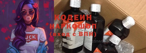 прущие грибы Коряжма