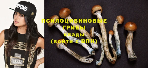 PSILOCYBIN Корсаков