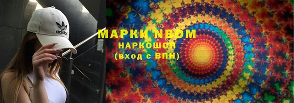 прущие грибы Коряжма