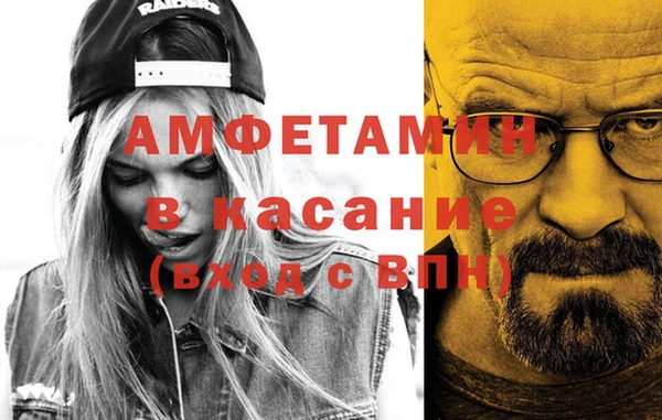 прущие грибы Коряжма